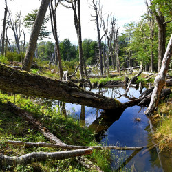Sendero Cerro Michi